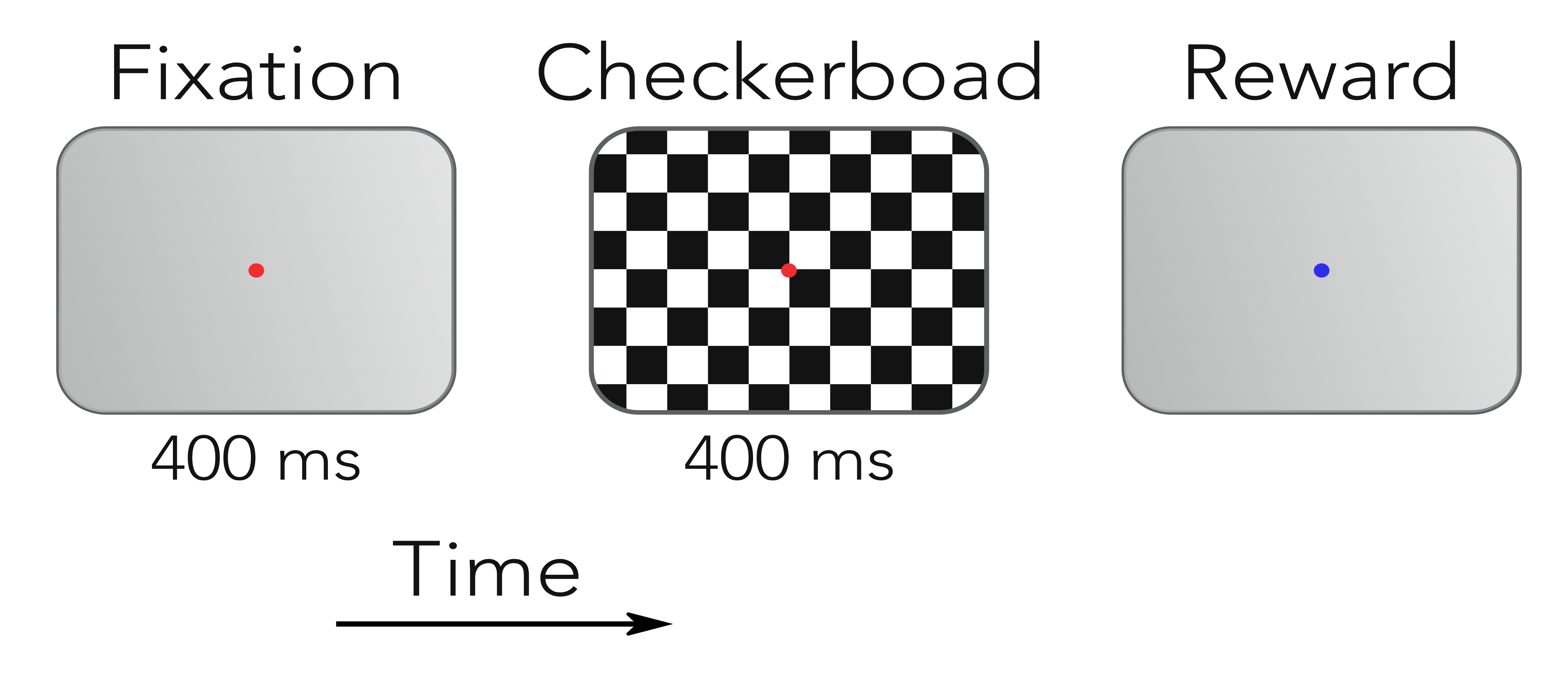 Visual stimulation task diagram