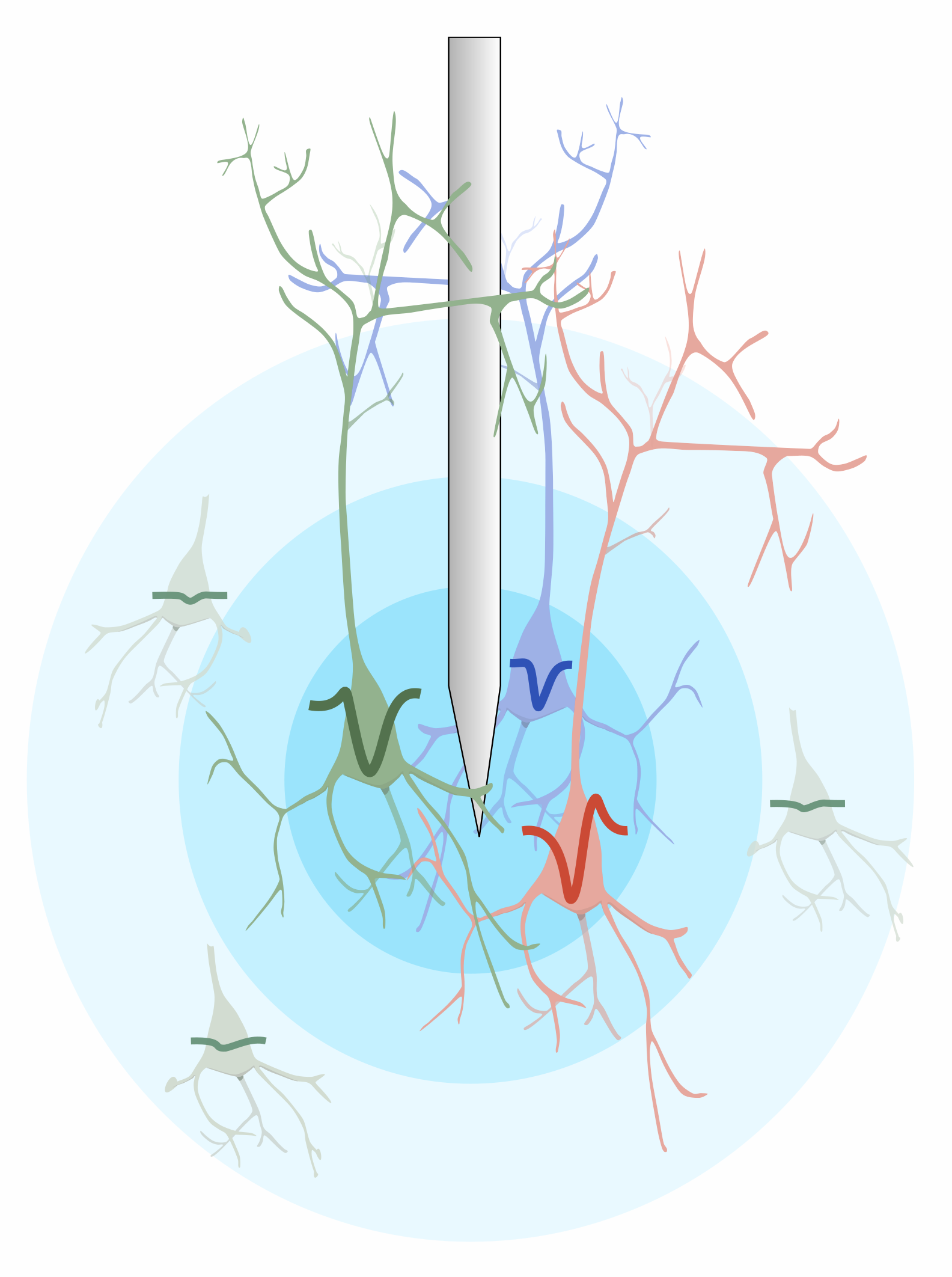 Spike waveforms and clustering from macaque visual cortex recordings