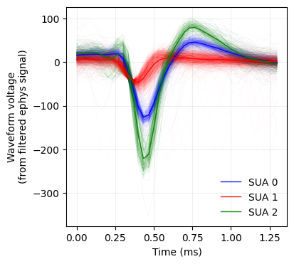 Spike waveforms and clustering from macaque visual cortex recordings